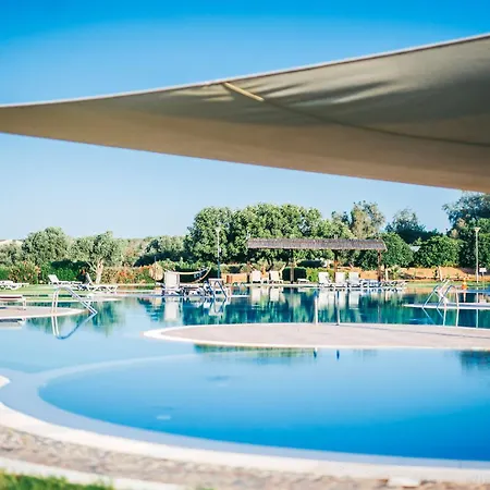 Premium Sun Apartment Vokolidha