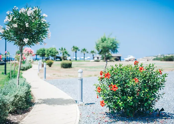 Apartmán Premium Sun Vokolidha